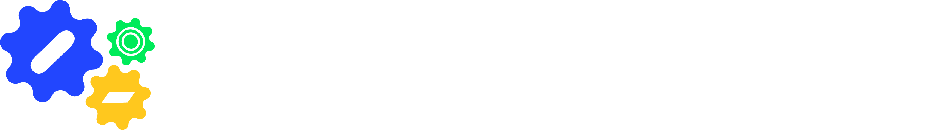 Ljetni akcelerator - logo